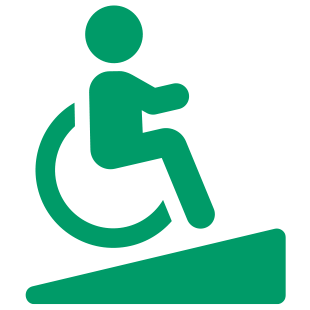 Disability Cases